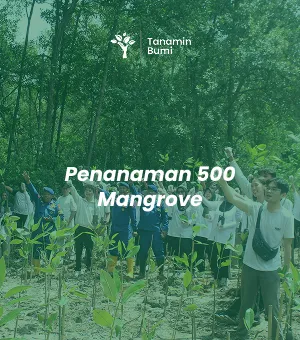 Akar untuk Masa Depan: Gerakan Mangrove PT Bintang Nusantara Linda