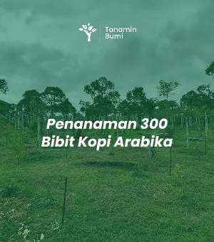Penanaman 300 Pohon Kopi Arabika bersama PT. Bintang Nusantara Linda di KTH Harapan Sejahtera