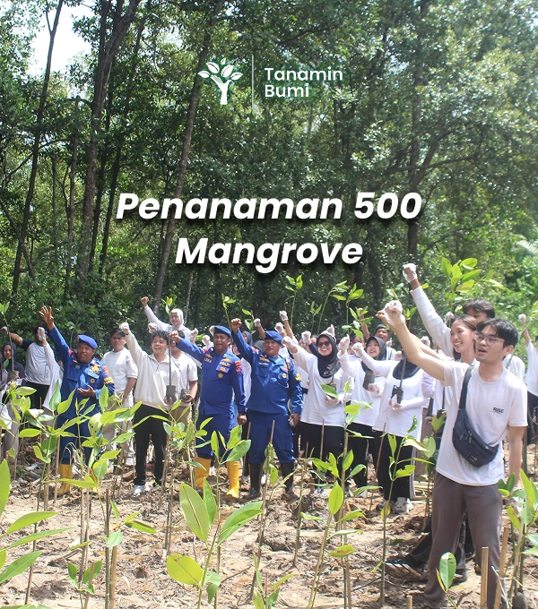 Akar untuk Masa Depan: Gerakan Mangrove PT Bintang Nusantara Linda