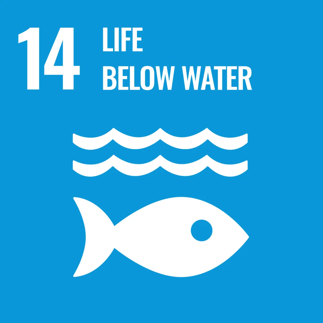 Life Below Water Life Below Water
